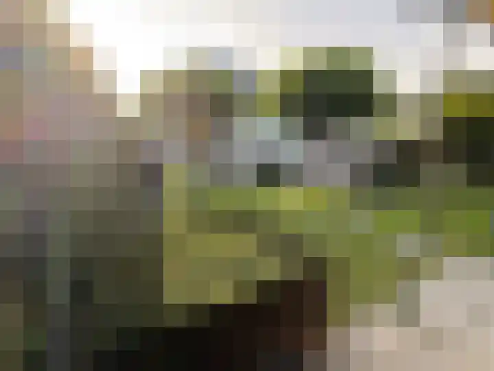 Hudsonring 58 Drunen thumbnail 38