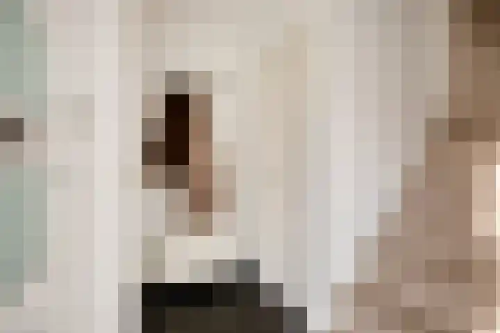 Hudsonring 58 Drunen thumbnail 8