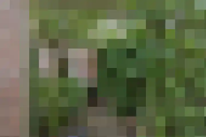 Hudsonring 59 Drunen thumbnail 28