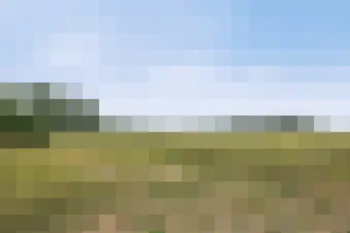 Hudsonring 59 Drunen thumbnail 32