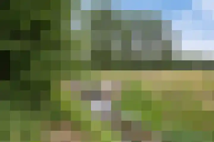 Hudsonring 59 Drunen thumbnail 33