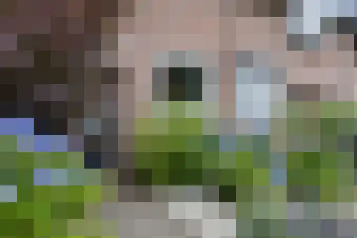 Hudsonring 59 Drunen thumbnail 5