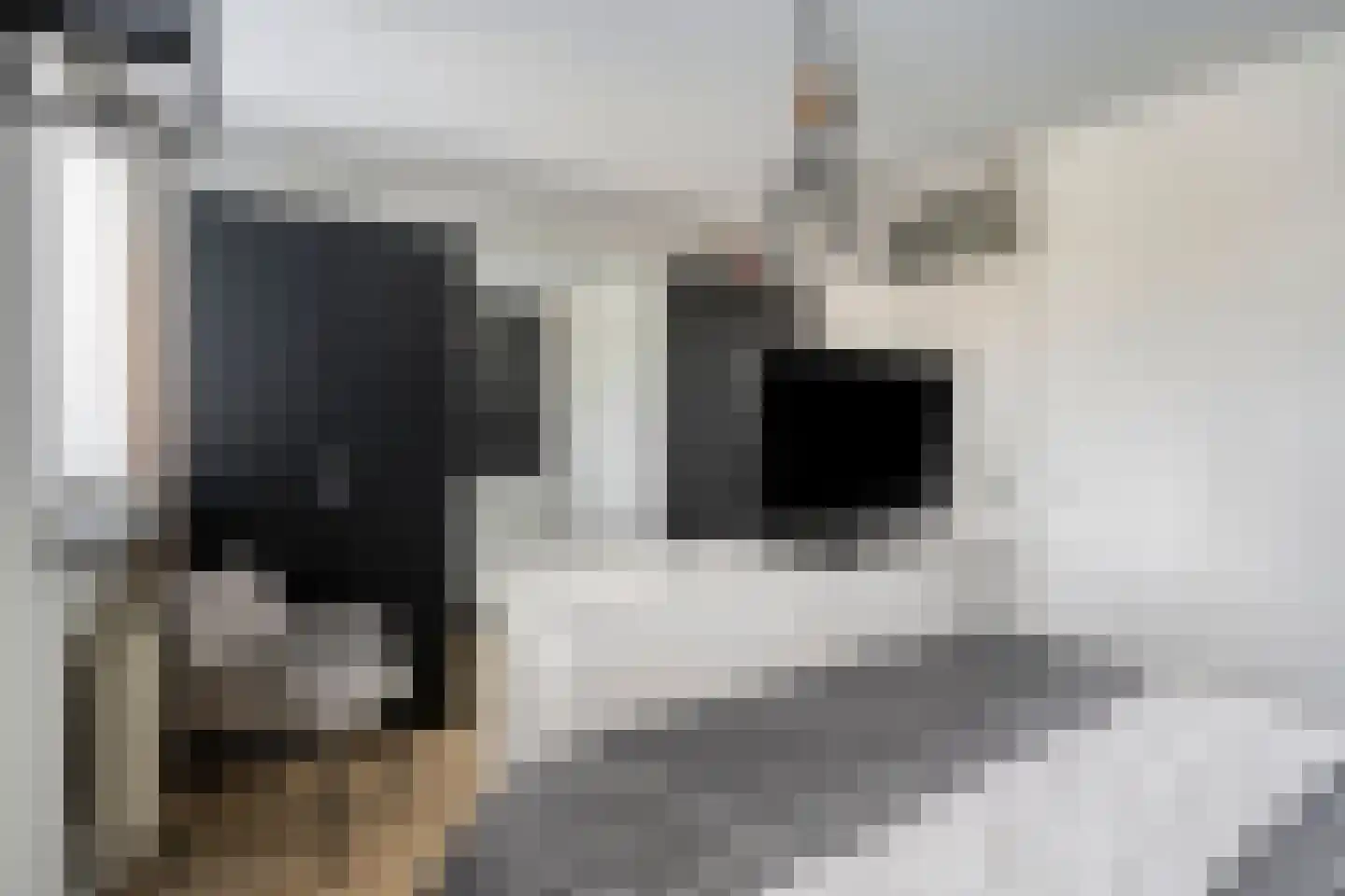 Hudsonring 87 Drunen thumbnail 13