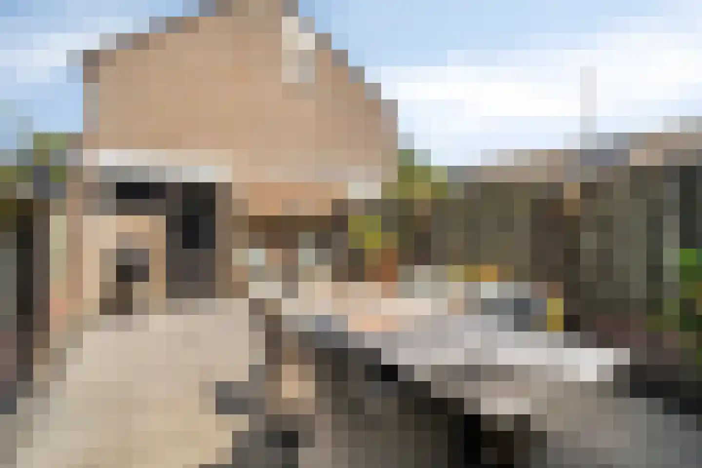 Hudsonring 87 Drunen thumbnail 24