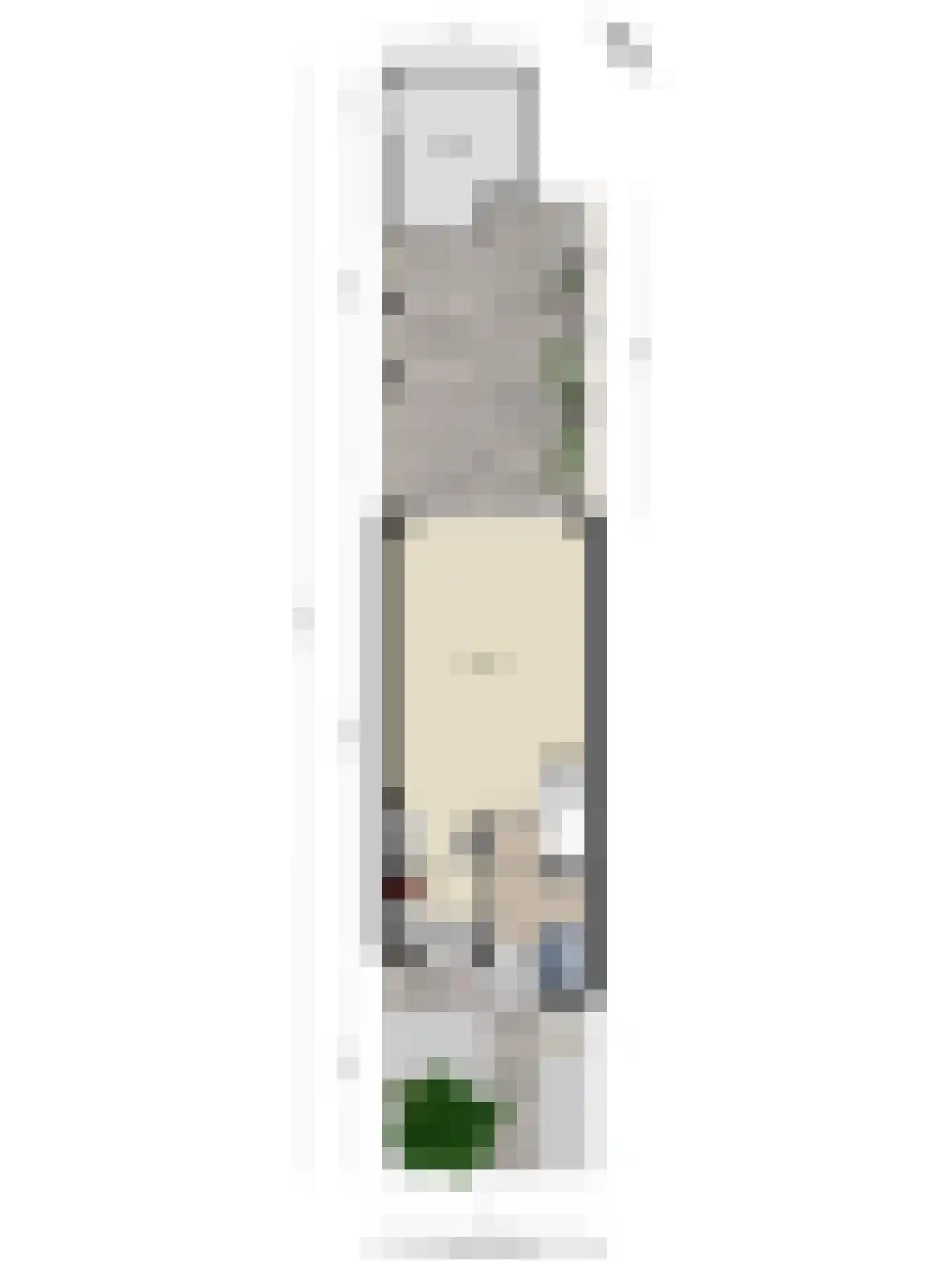 Hudsonring 87 Drunen thumbnail 35
