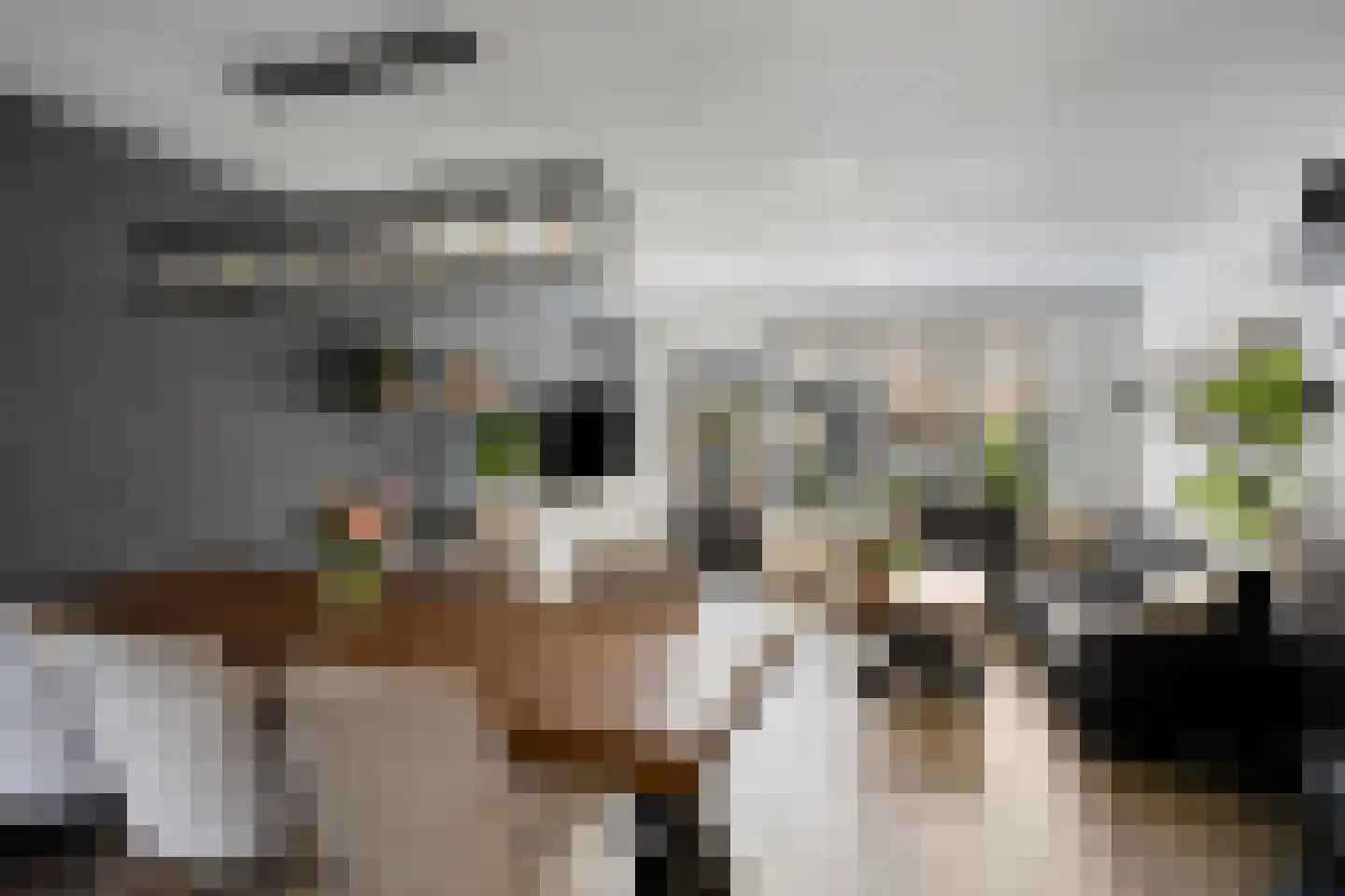 Hudsonring 87 Drunen thumbnail 6