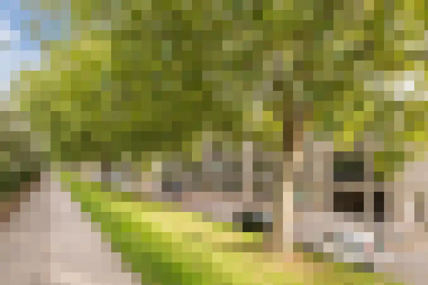 Hudsonstraat 133 Rotterdam thumbnail 9