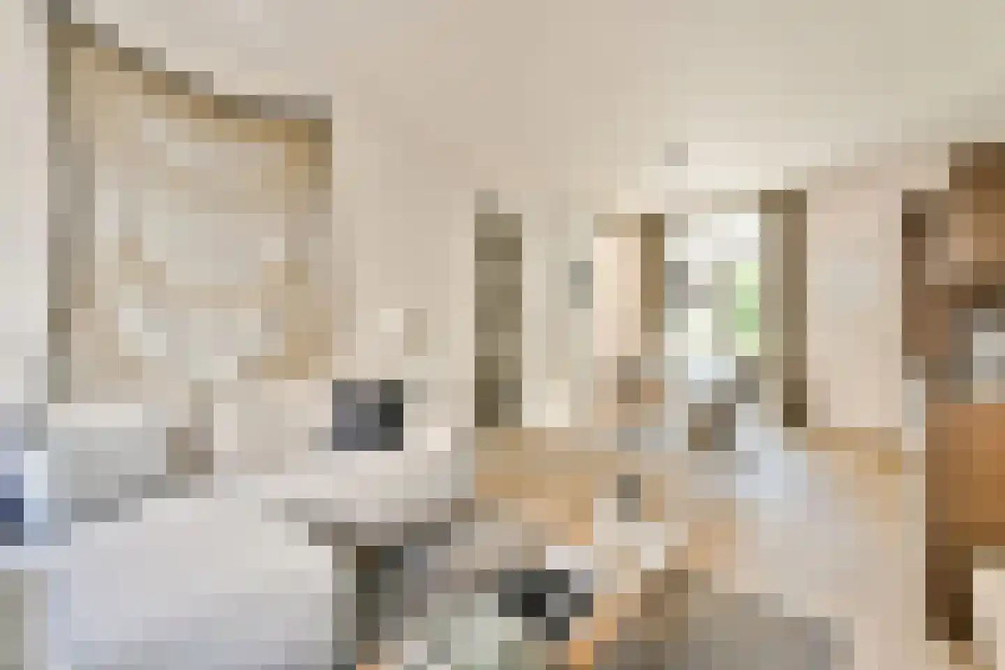 Hudsonstraat 142 1 Amsterdam thumbnail 4