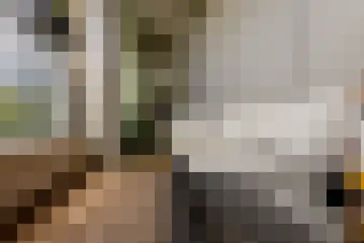 Hudsonstraat 211 Rotterdam thumbnail 13