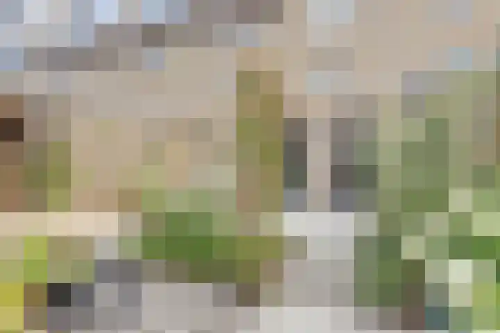 Hudsonstraat 22 Breda thumbnail 32