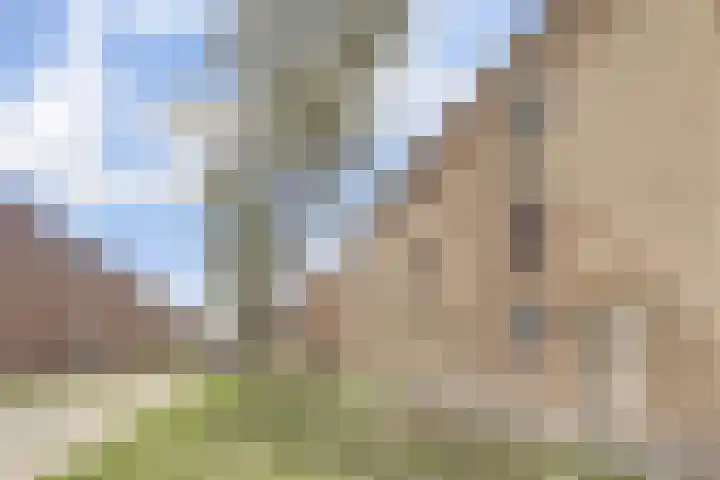 Hudsonstraat 22 Breda thumbnail 33