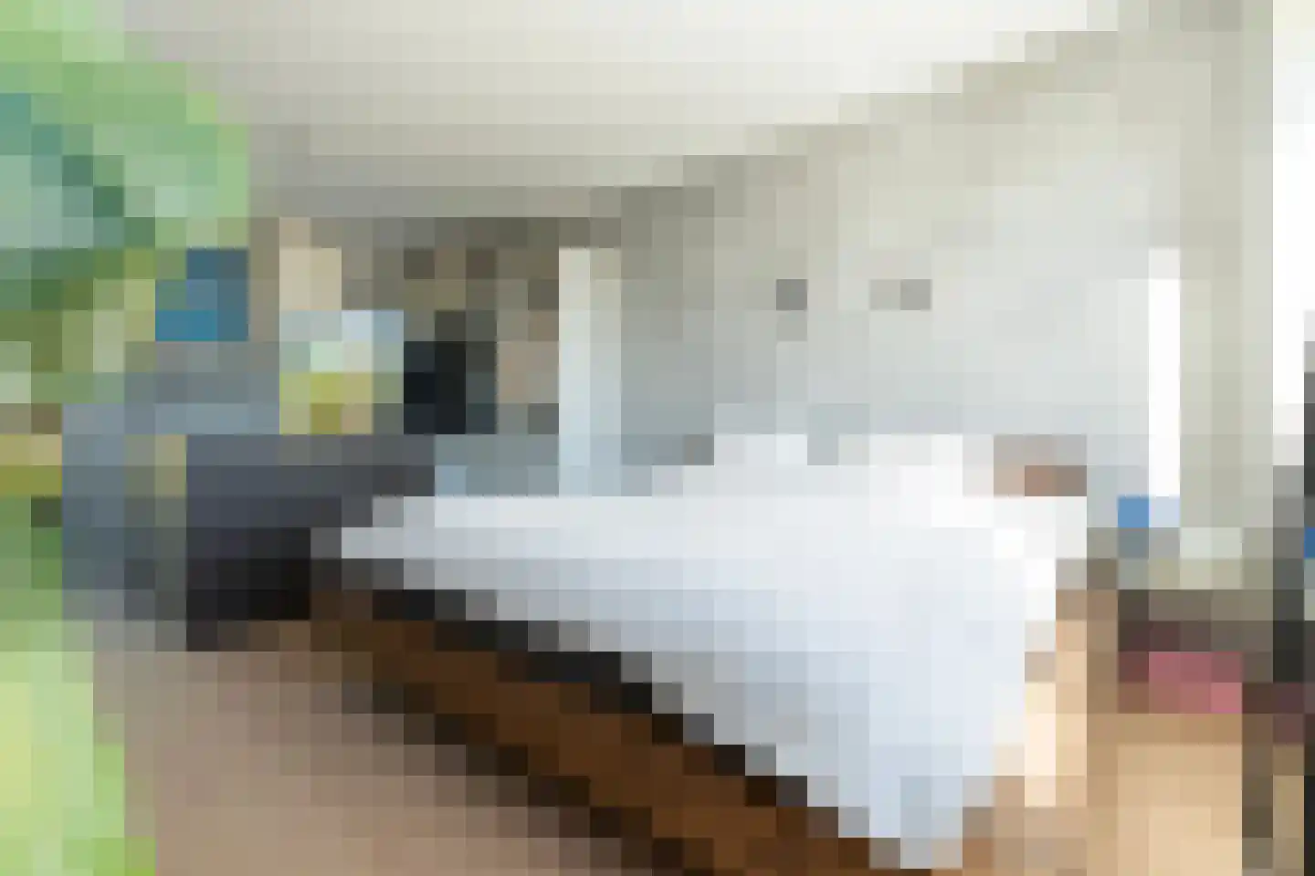 Hudsonstraat 227 Rotterdam thumbnail 40