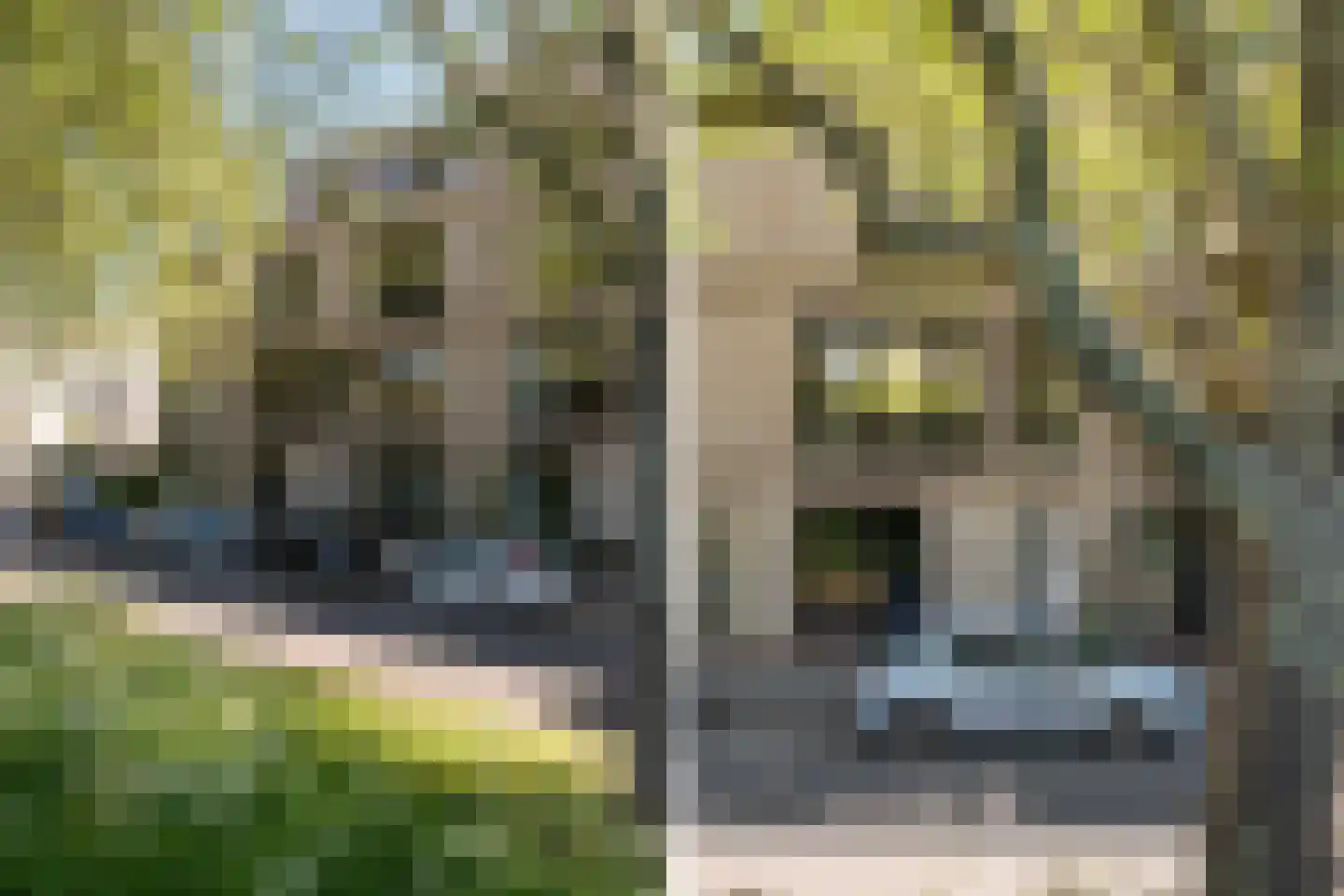 Hudsonstraat 227 Rotterdam thumbnail 60