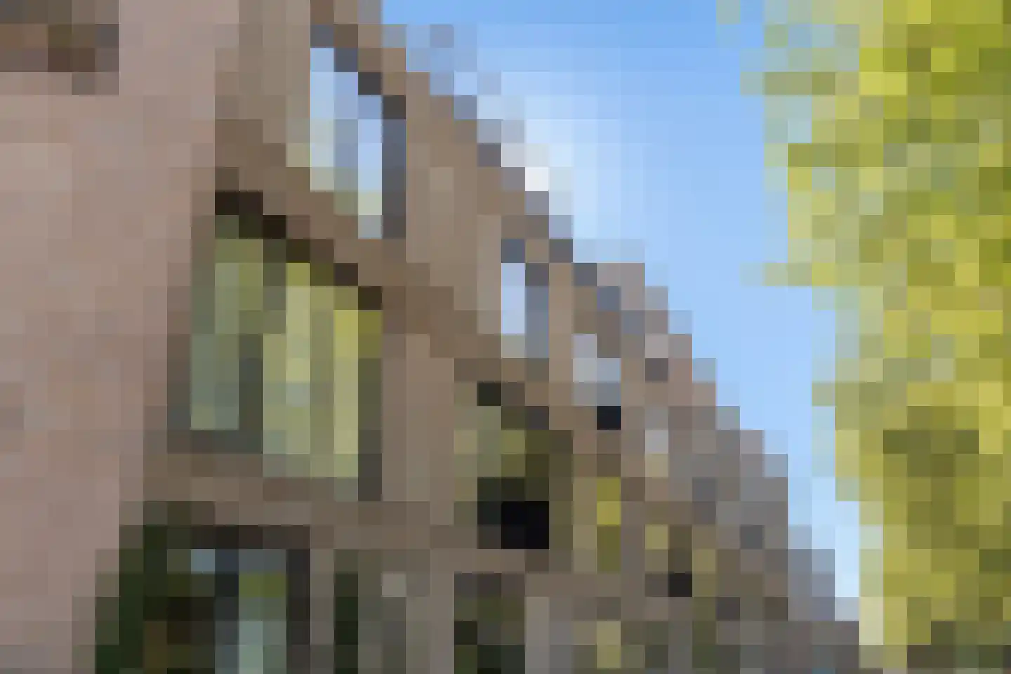 Hudsonstraat 227 Rotterdam thumbnail 63