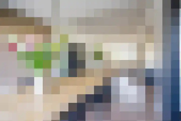 Hudsonstraat 28 Geldrop thumbnail 10