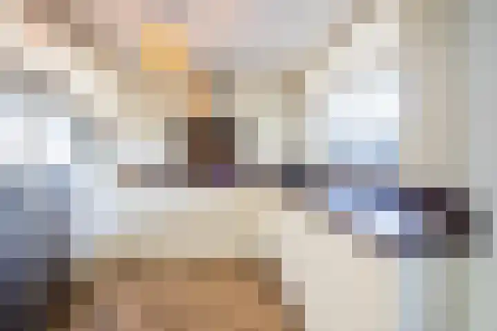 Hudsonstraat 28 Geldrop thumbnail 12