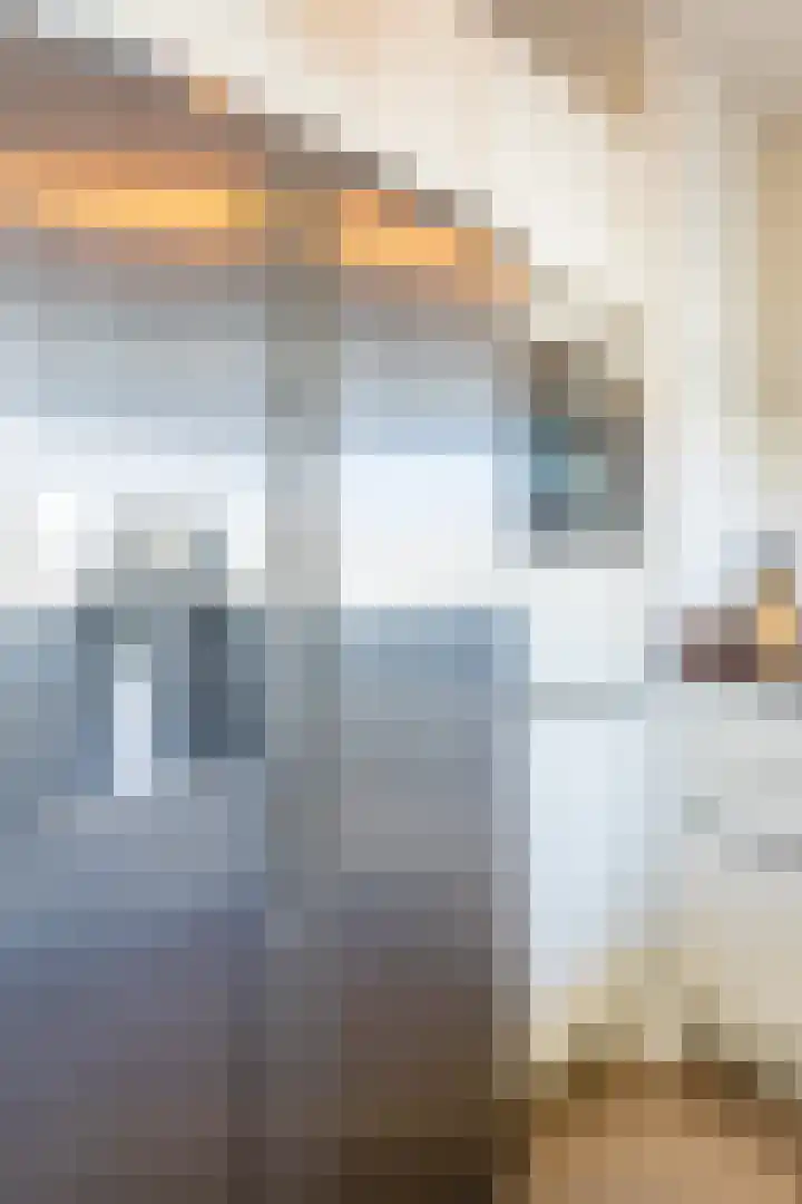 Hudsonstraat 28 Geldrop thumbnail 13