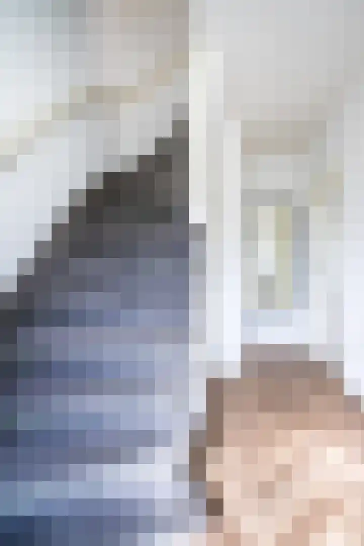 Hudsonstraat 28 Geldrop thumbnail 19