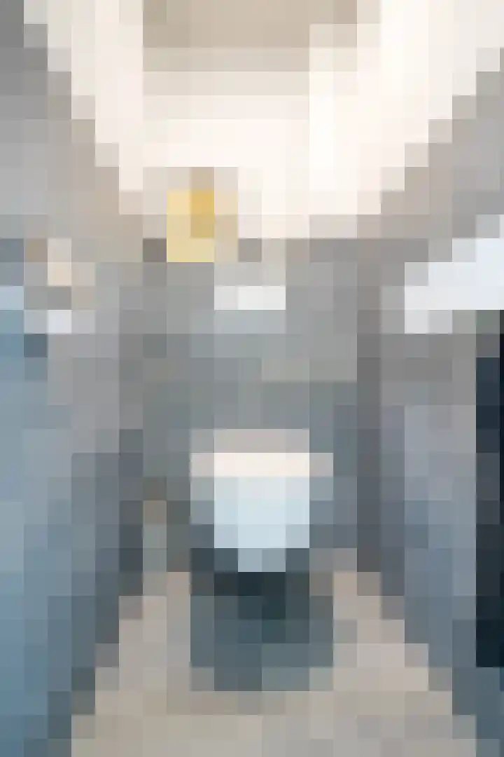 Hudsonstraat 28 Geldrop thumbnail 20