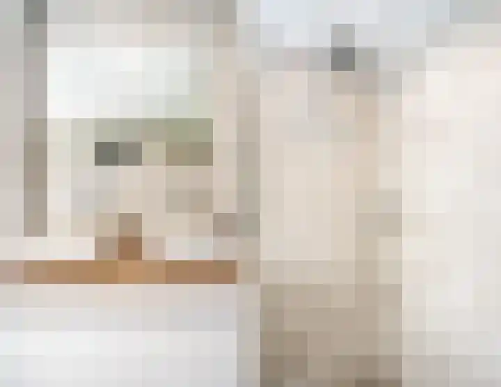 Hudsonstraat 28 Geldrop thumbnail 31