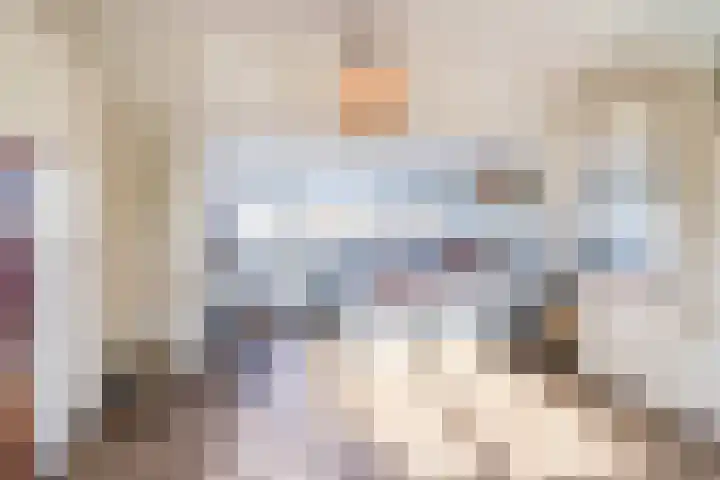 Hudsonstraat 28 Geldrop thumbnail 33