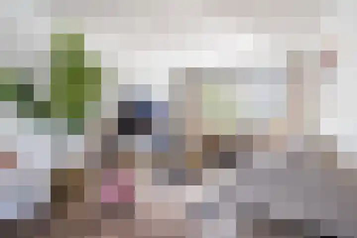 Hudsonstraat 28 Geldrop thumbnail 6