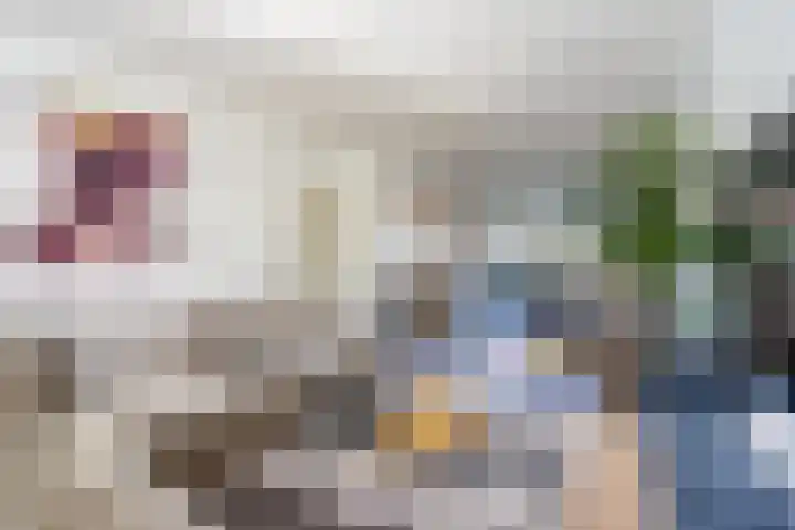 Hudsonstraat 28 Geldrop thumbnail 8