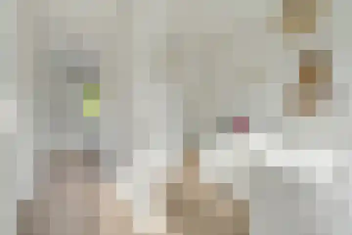Hudsonstraat 31 Breda thumbnail 35