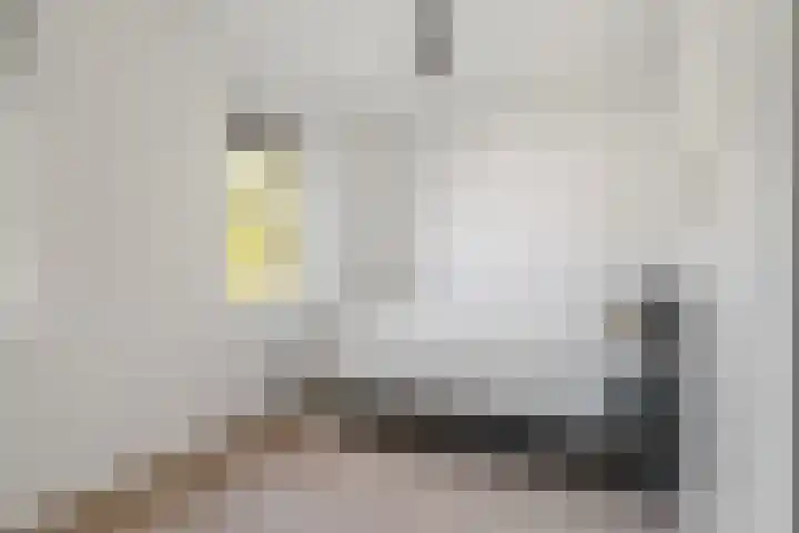 Hudsonstraat 31 Breda thumbnail 36