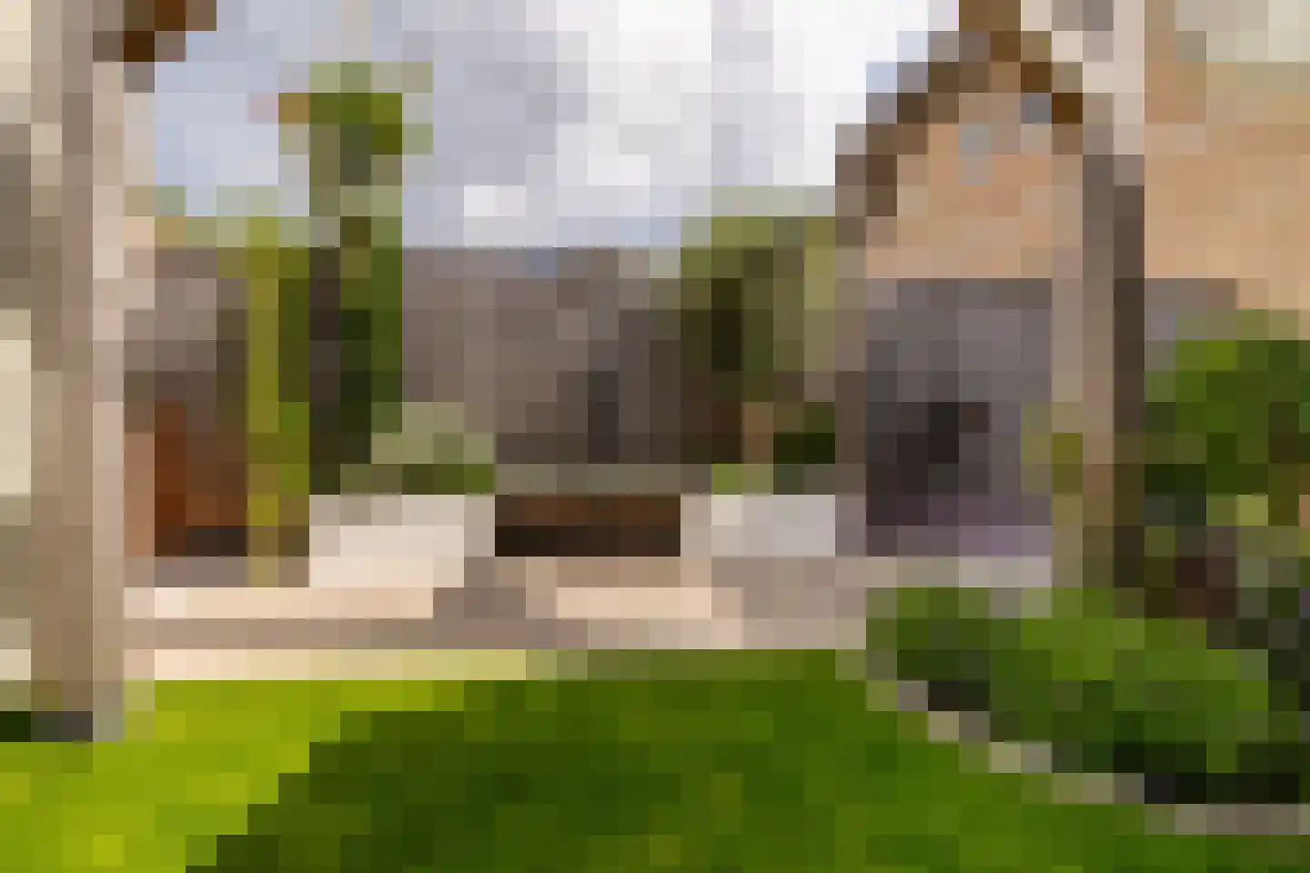 Hudsonstraat 38 Breda thumbnail 38
