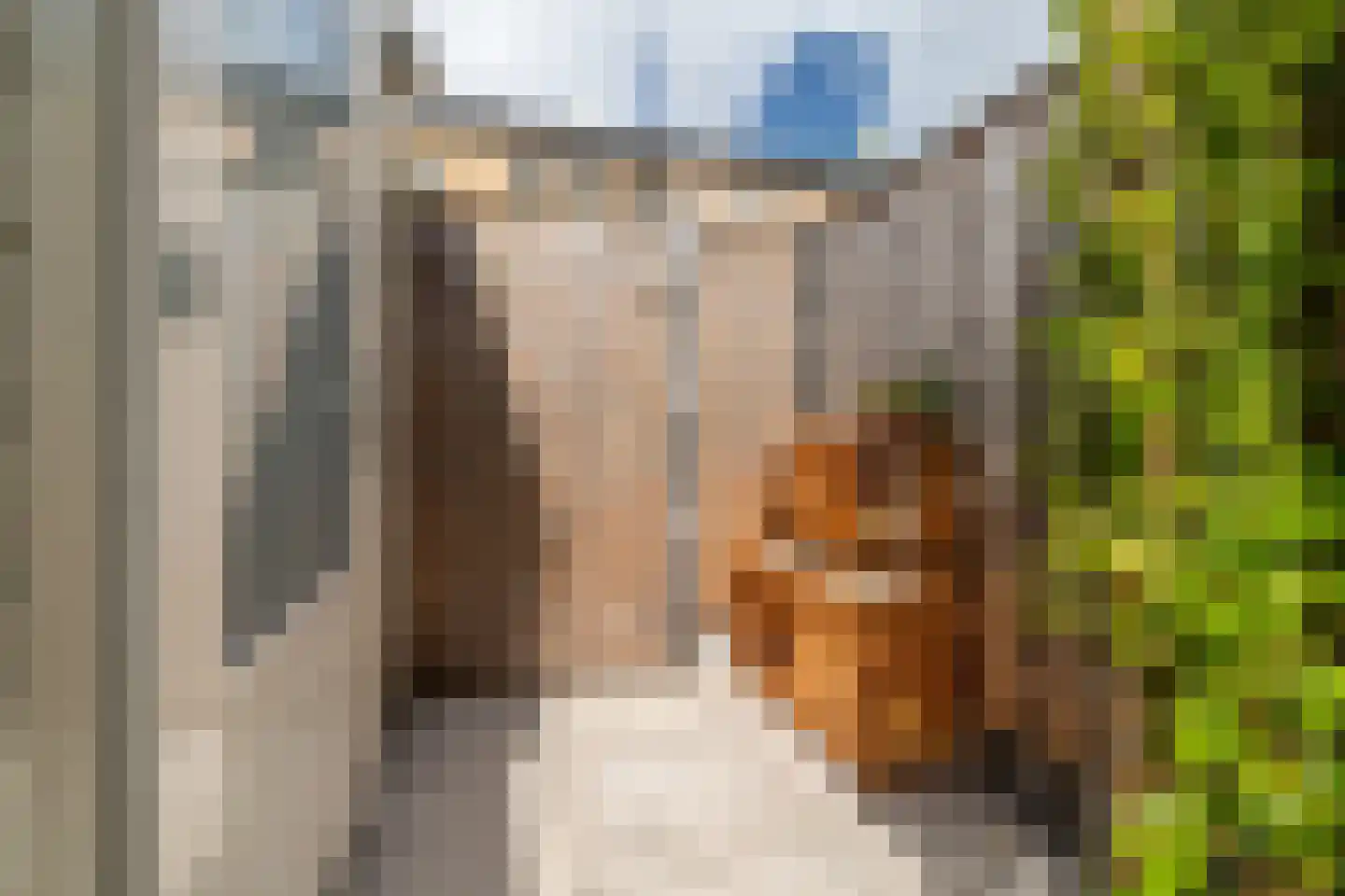 Hudsonstraat 38 Breda thumbnail 39
