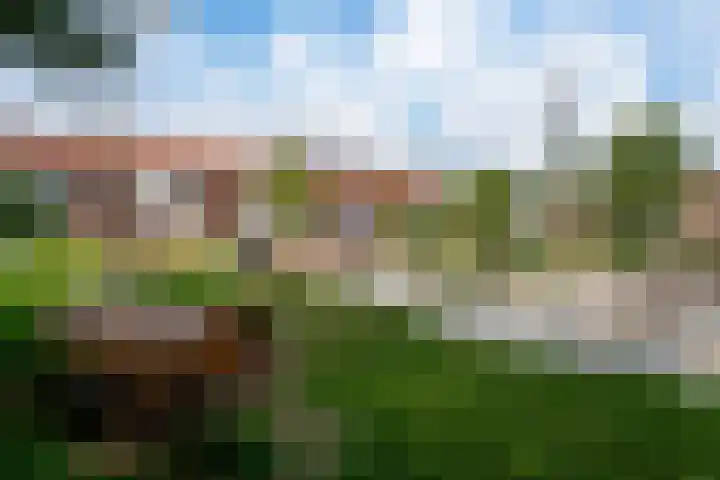 Hudsonstraat 44 Arnhem thumbnail 10