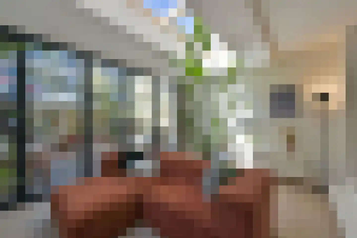 Hudsonstraat 51 1 Amsterdam thumbnail 7
