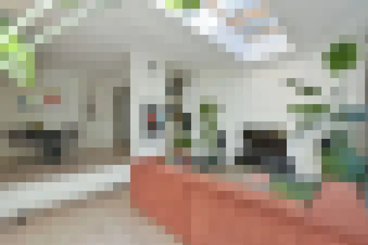 Hudsonstraat 51 2 Amsterdam thumbnail 9