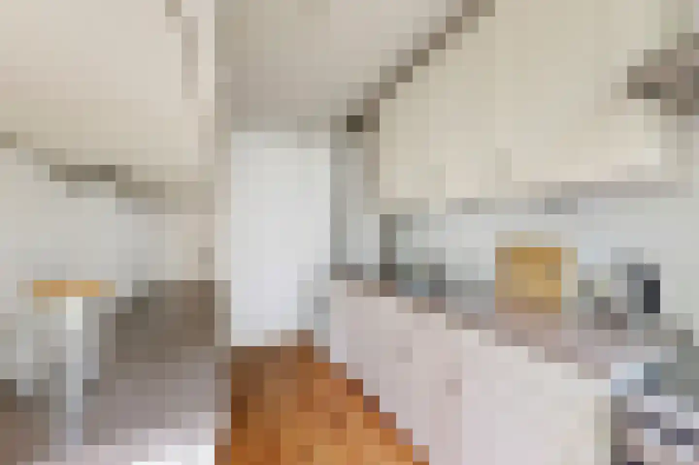 Hudsonstraat 59 3 Amsterdam thumbnail 17