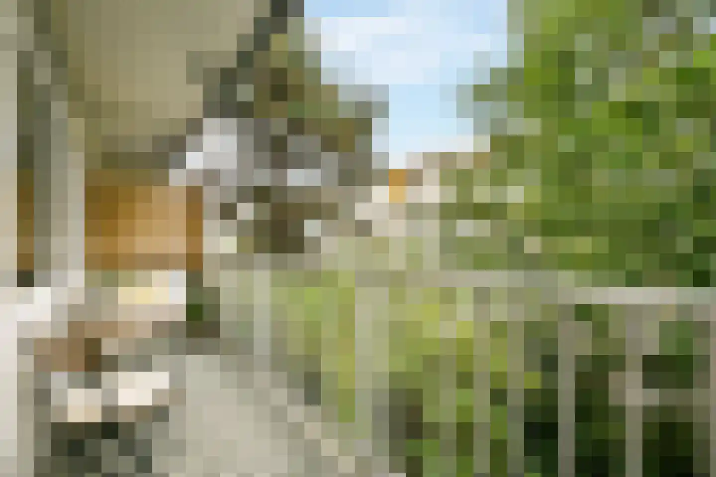 Hudsonstraat 61 2 Amsterdam thumbnail 5
