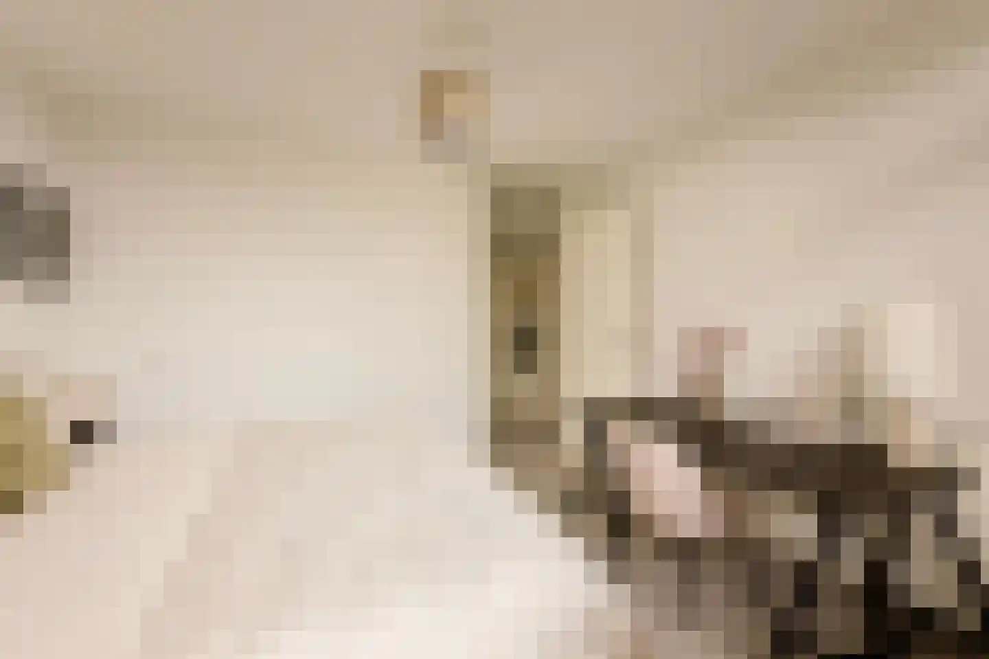Hudsonstraat 71 3 Amsterdam thumbnail 15