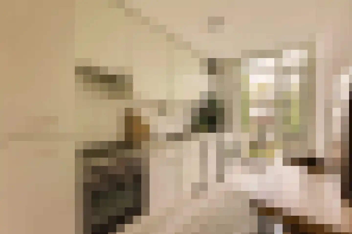 Hudsonstraat 71 3 Amsterdam thumbnail 17