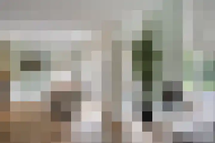 Huenderkolkweg 8 Deventer thumbnail 11