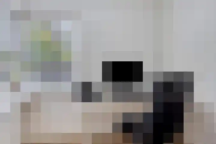 Huenderkolkweg 8 Deventer thumbnail 16