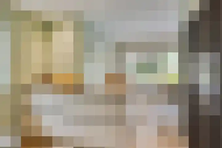 Huenderkolkweg 8 Deventer thumbnail 18