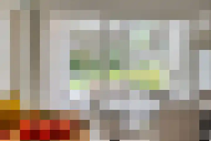 Huenderkolkweg 8 Deventer thumbnail 21