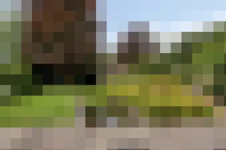 Huenderkolkweg 8 Deventer thumbnail 23