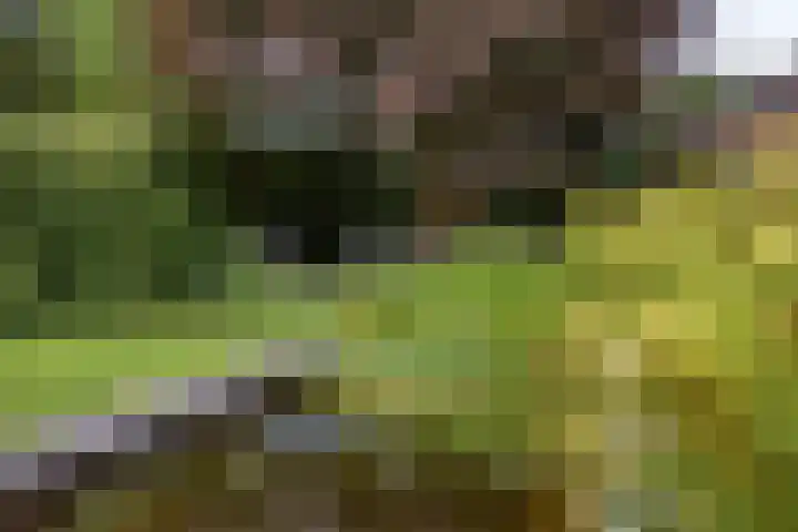 Huenderkolkweg 8 Deventer thumbnail 24