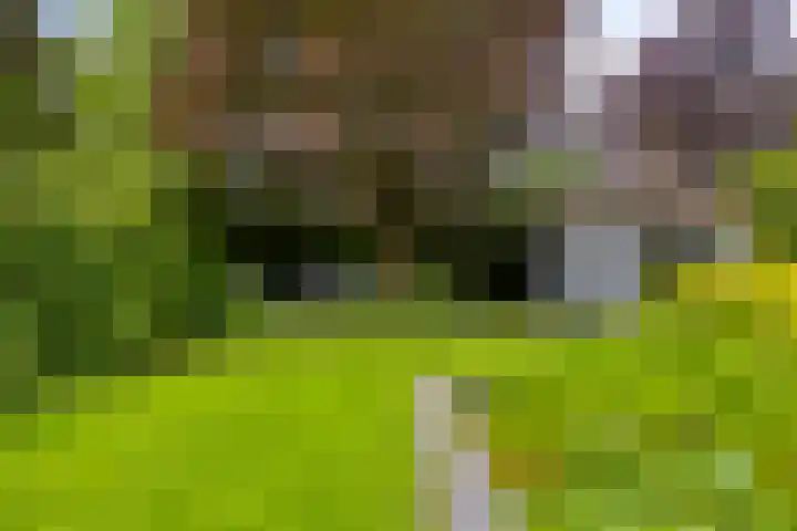 Huenderkolkweg 8 Deventer thumbnail 25