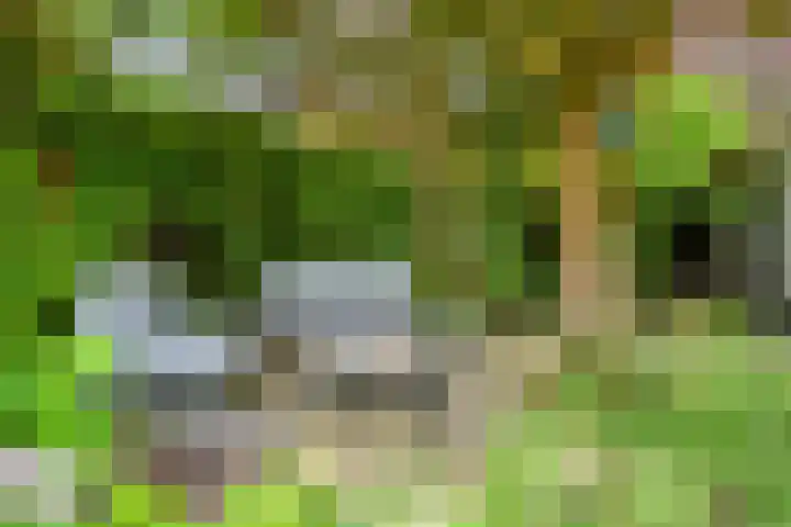 Huenderkolkweg 8 Deventer thumbnail 26