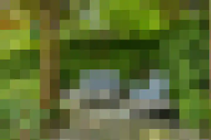 Huenderkolkweg 8 Deventer thumbnail 27