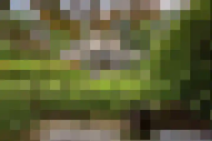 Huenderkolkweg 8 Deventer thumbnail 28