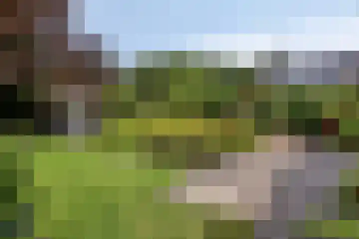 Huenderkolkweg 8 Deventer thumbnail 29