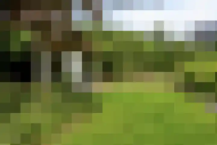 Huenderkolkweg 8 Deventer thumbnail 30